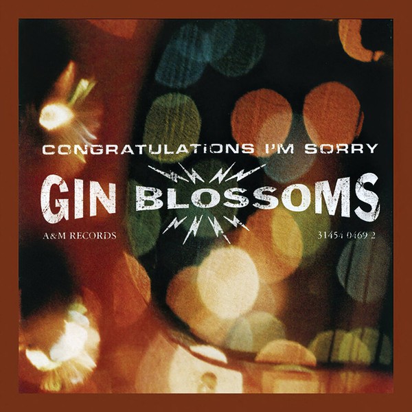 Congratulations I'm Sorry 