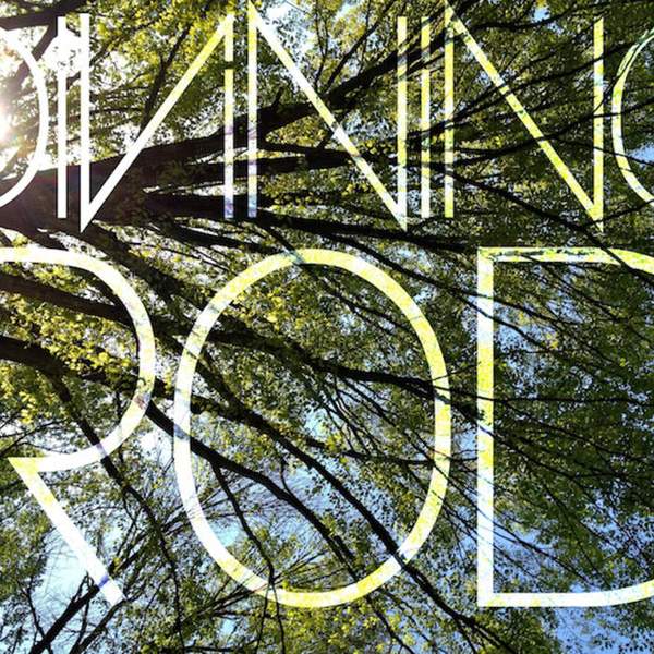 Divining Rod