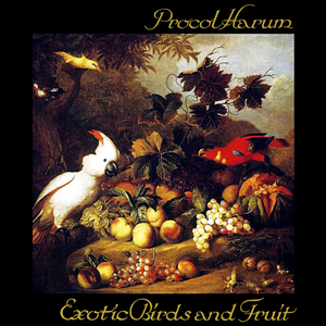 Exotic Birds and Fruit