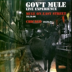Mule on Easy Street: 10.19.06